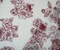 White-Deep Red Nylon Floral Printed Lace Mesh Knit Fabric By the Yard